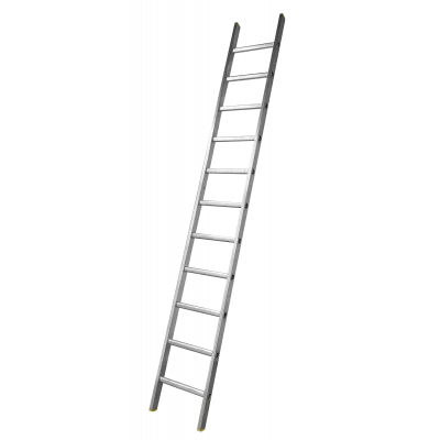 Professional Aluminum Extension Ladder Professional Aluminum Extension Ladder