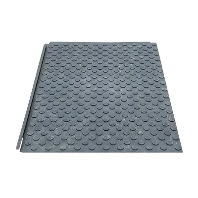 Pedestrian Walkway Ground Mat 23.6